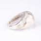 Conjunto Cuenta ( Anillo )