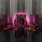 "Oud Elixir Pink" EDP 100ml + 30 ml, fragancia oriental floral