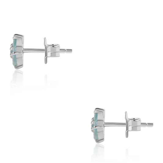 Pendientes de Plata con Grandidierita