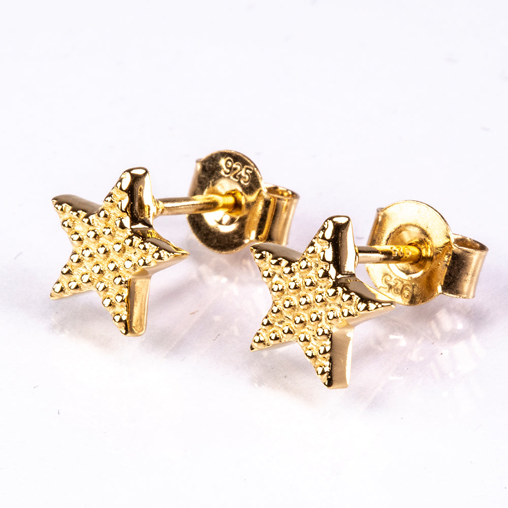 Pendientes de Plata Bañada en Oro 1 