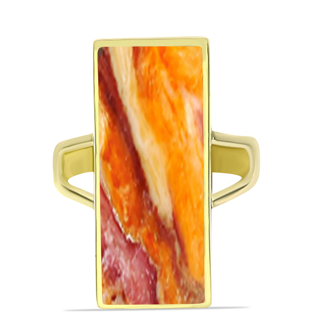Anillo de Plata Bañada en Oro con Jaspe Garra de León 1 