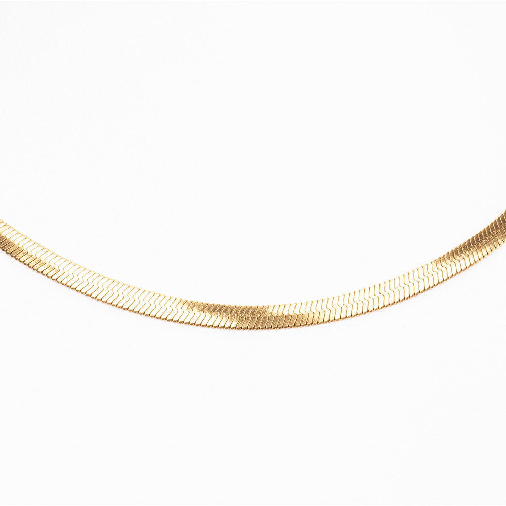 Collar Acero Inoxidable 2 