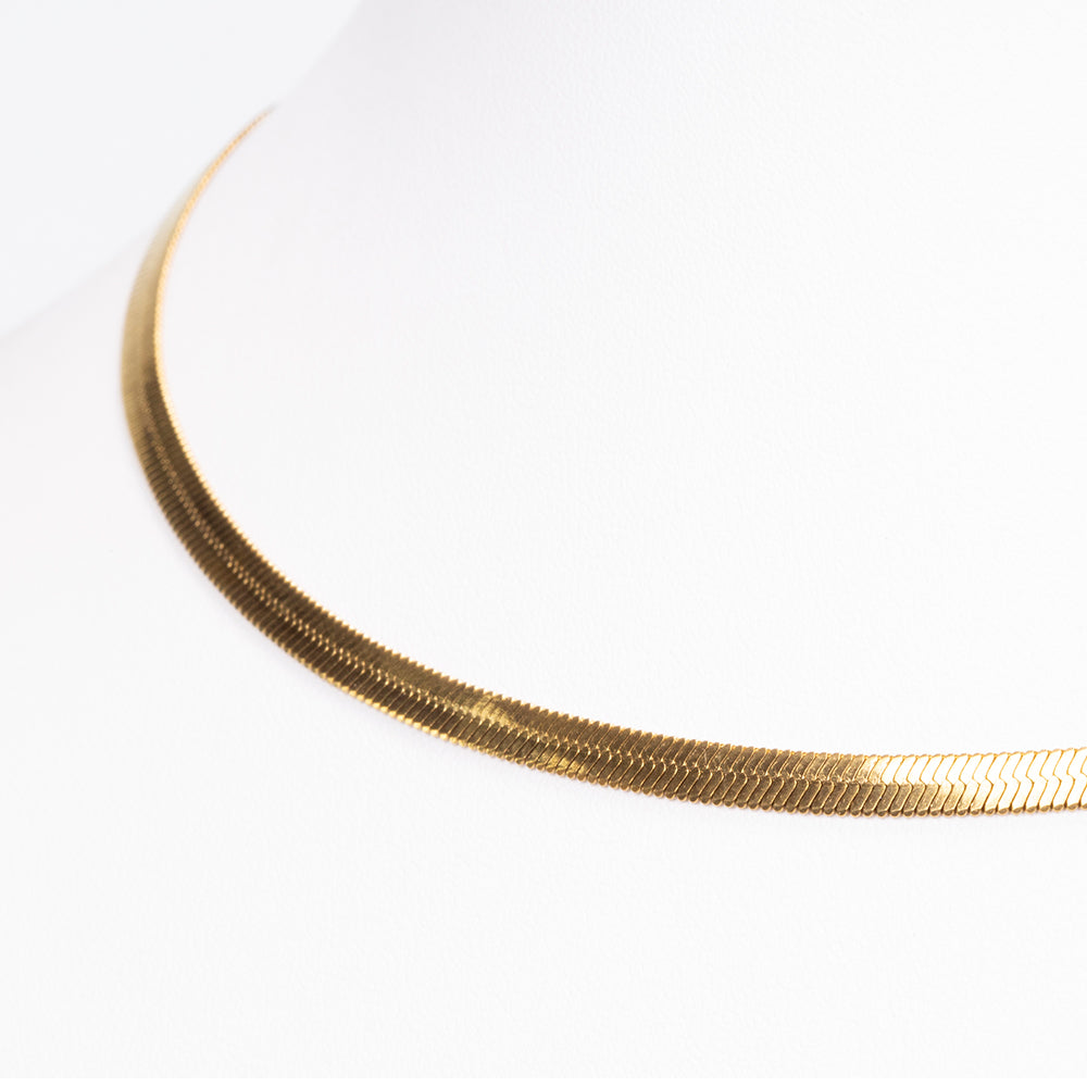 Collar Acero Inoxidable 3 