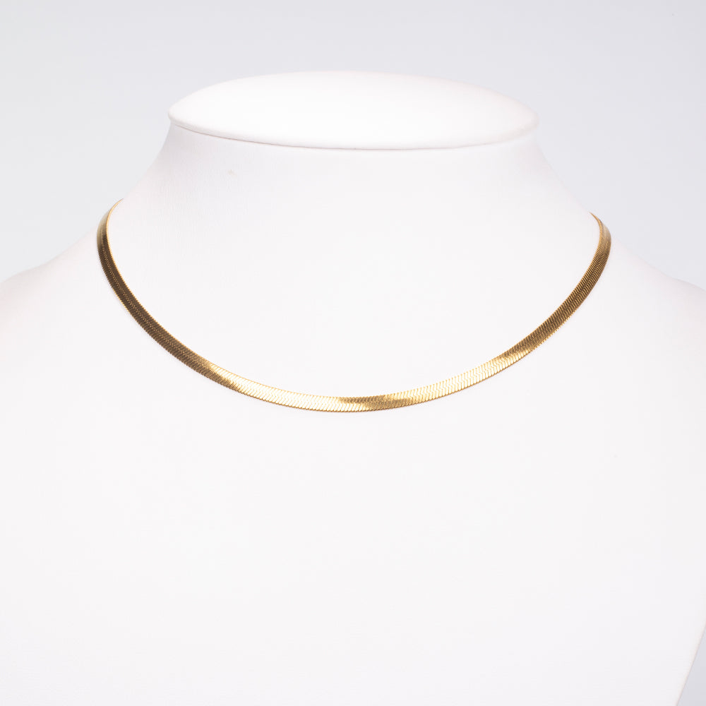 Collar Acero Inoxidable 4 