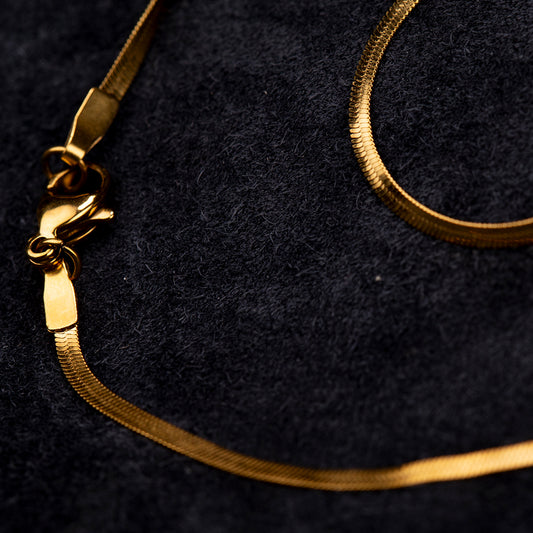 Collar Acero Inoxidable