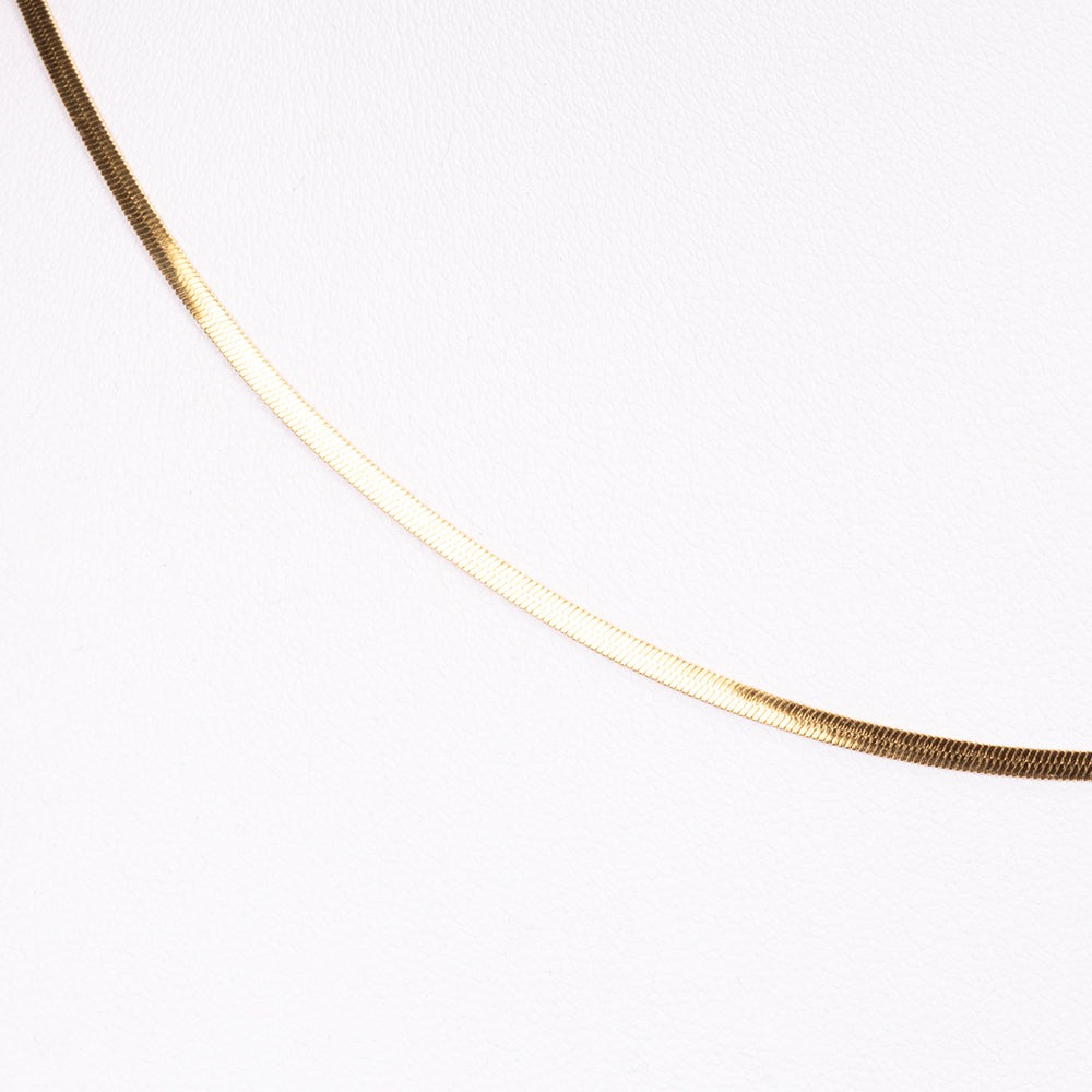 Collar Acero Inoxidable