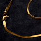 Collar Acero Inoxidable