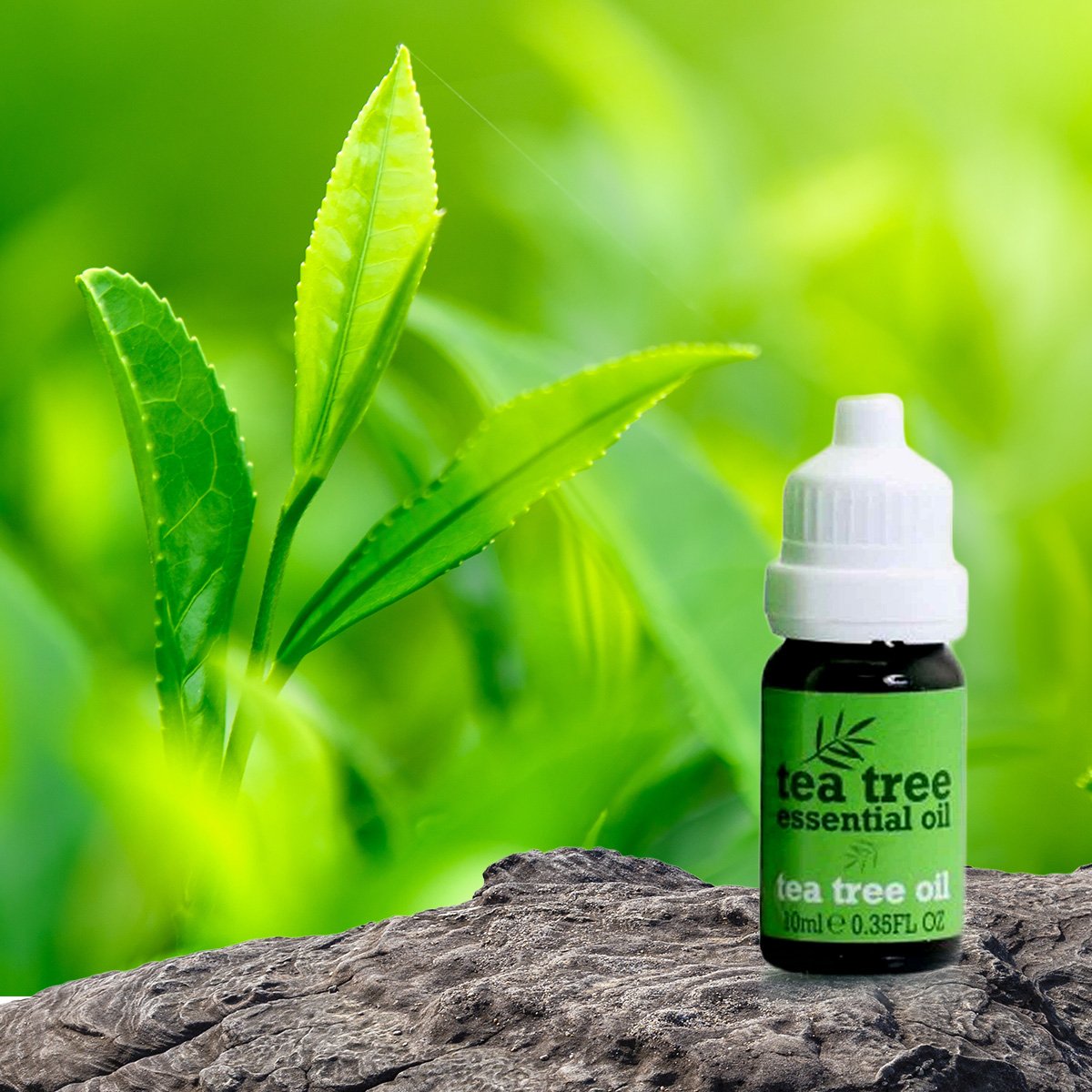 Suero de aceite de árbol de té - 30 ml 3 