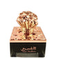 100 ml Eau de Perfume Rose Kashmiri Oriental Floral Fragancia para Hombres y Mujeres